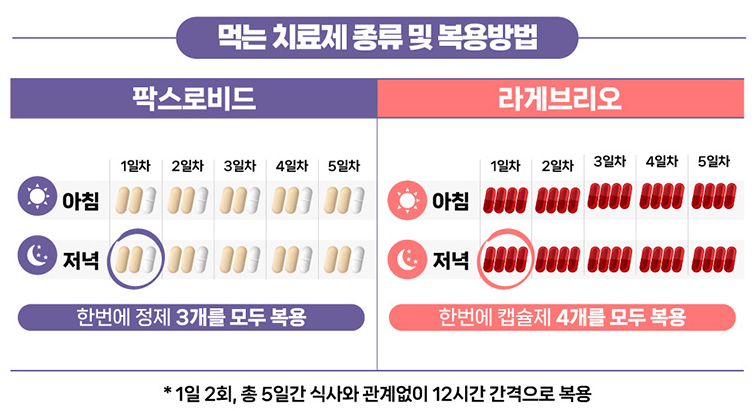 코로나 치료제 - 팍스로비드